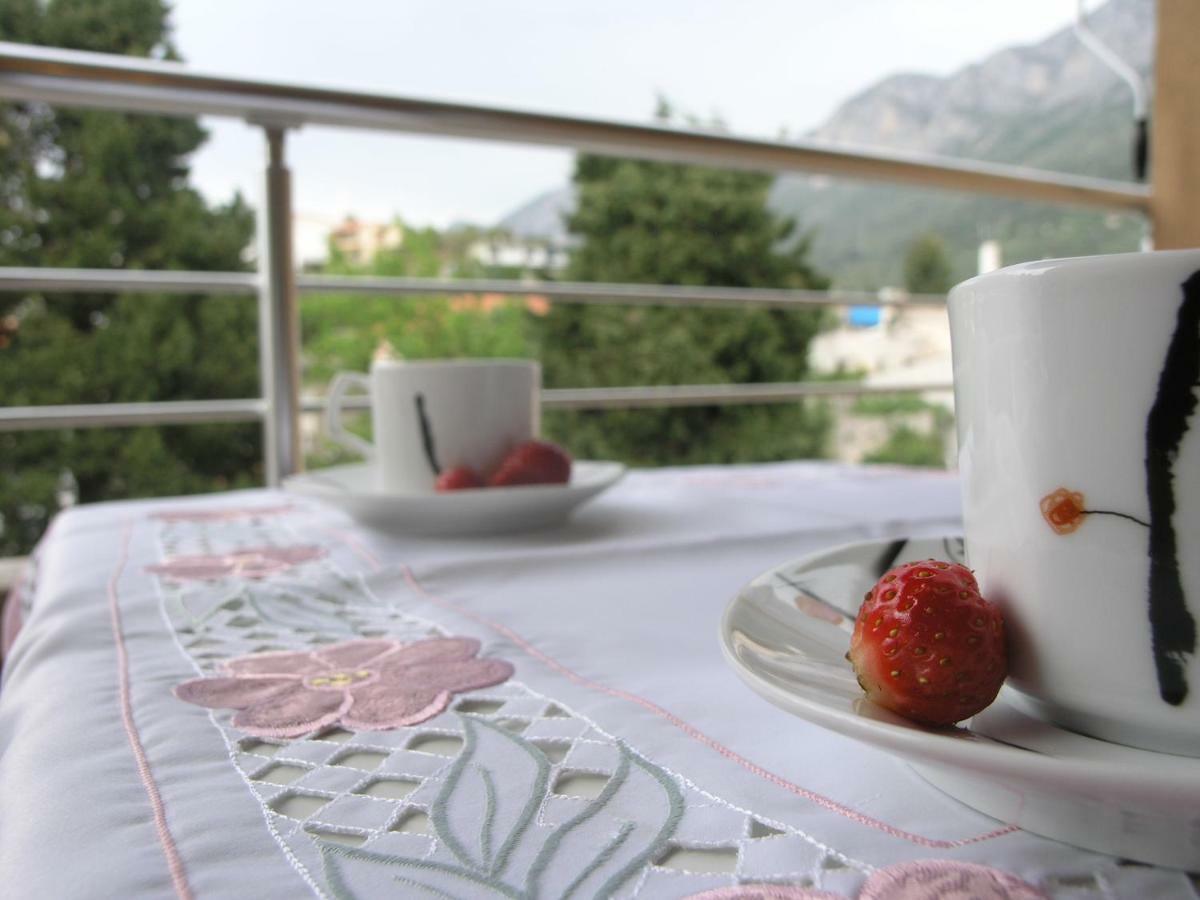 Musa Apartment Gradac  Exteriör bild